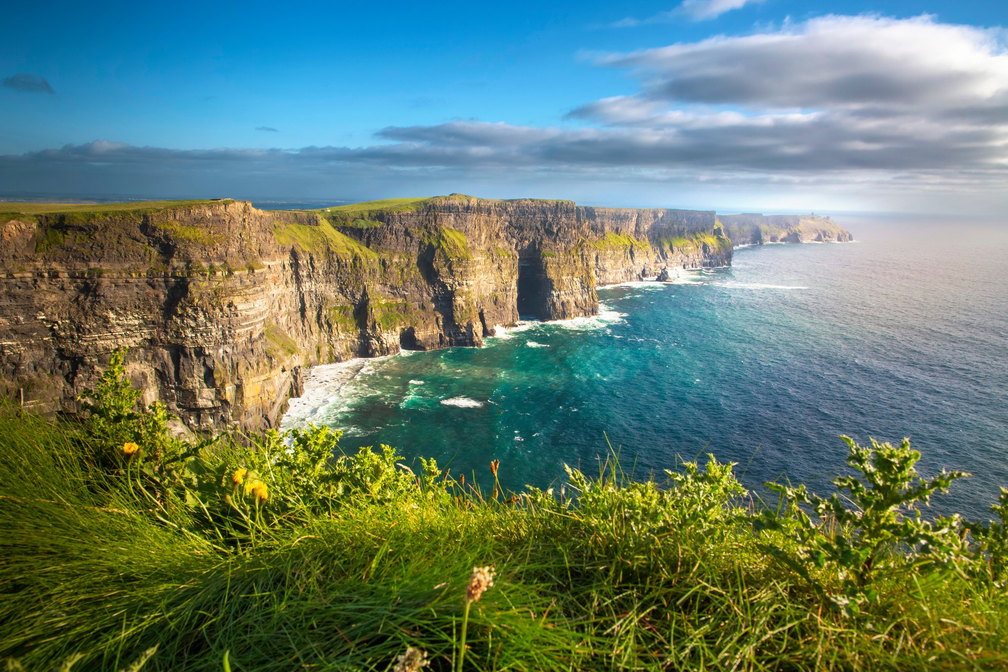 Les Falaises de Moher -  Elena Schweitzer