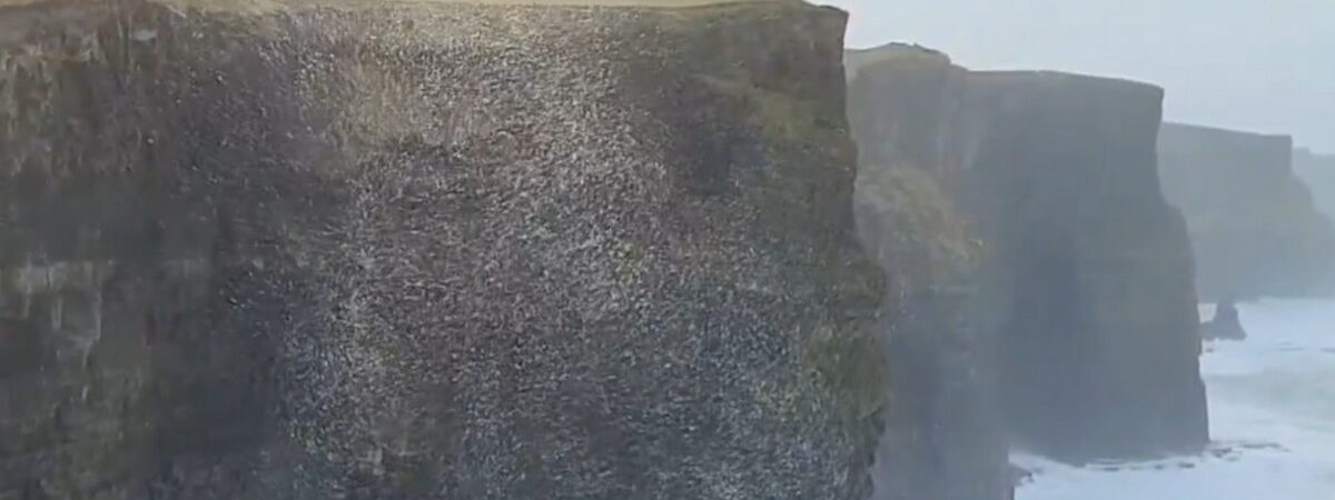 Ein riesiger Ball aus Schaum und Schnee trieb auf den Cliffs of Moher - @cormac_mcginley (X / Twitter)