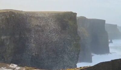 Ein riesiger Ball aus Schaum und Schnee trieb auf den Cliffs of Moher - @cormac_mcginley (X / Twitter)
