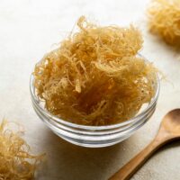 Das irische See-Moss - © Inga