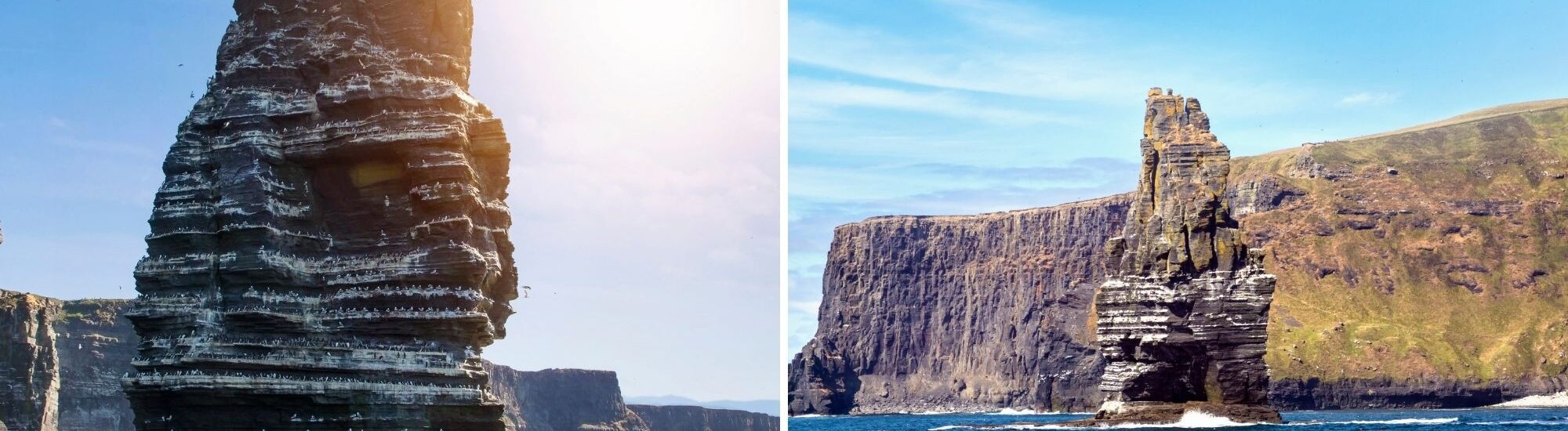 Branaunmore - Canva Pro