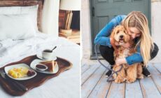 Pet Sitting kann Ihnen helfen, eine kostenlose Unterkunft in Irland zu bekommen.