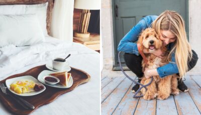 Pet Sitting kann Ihnen helfen, eine kostenlose Unterkunft in Irland zu bekommen.