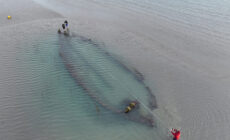 Une épave découverte sur la plage de Portmarnock - National Monuments Service (NMS)