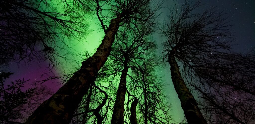 Nordirland: Die Nordlichter haben gestern Abend ihre Show gegeben!