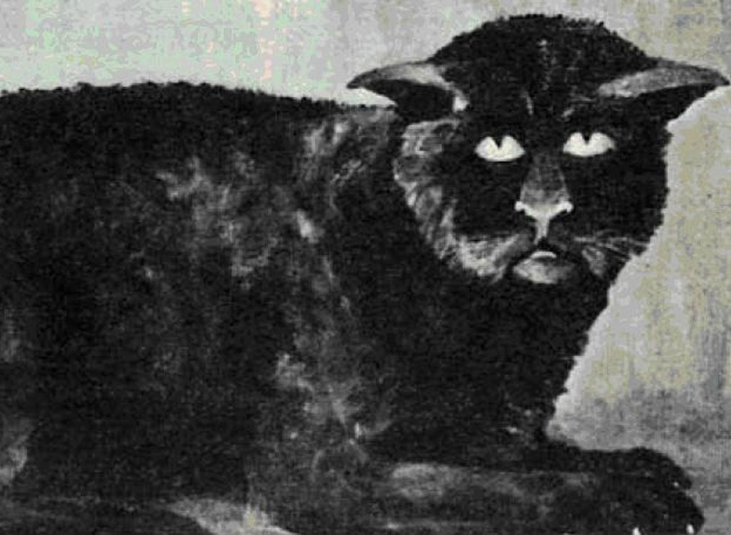 Die Katze von Killakee House