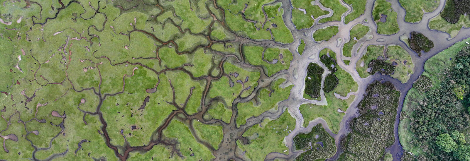 Mulranny Salt Marsh © Big Style Media - Fáilte Ireland