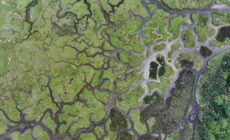 Mulranny Salt Marsh © Big Style Media - Fáilte Ireland