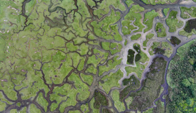 Mulranny Salt Marsh © Big Style Media - Fáilte Ireland