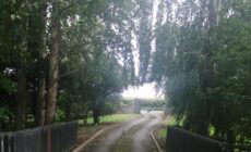 Delphi Lodge