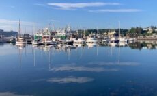 Harbour View