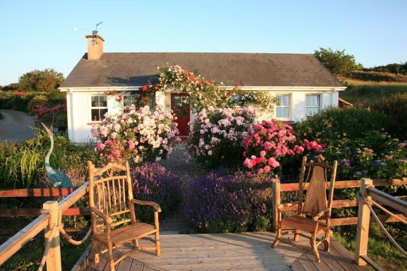 Herons Cove Cottage