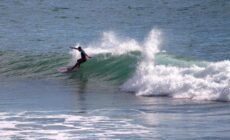 Inchydoney Apt 6