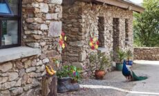 Kingsford renovated old cottage