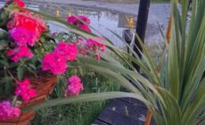 Pond Beach Oak residence