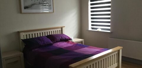 Room to rent