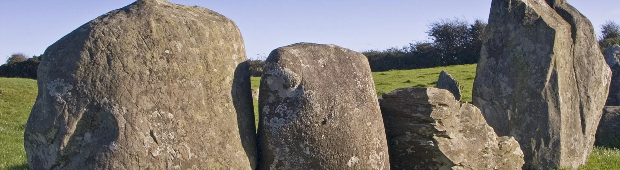 Das Mesolithikum in Irland