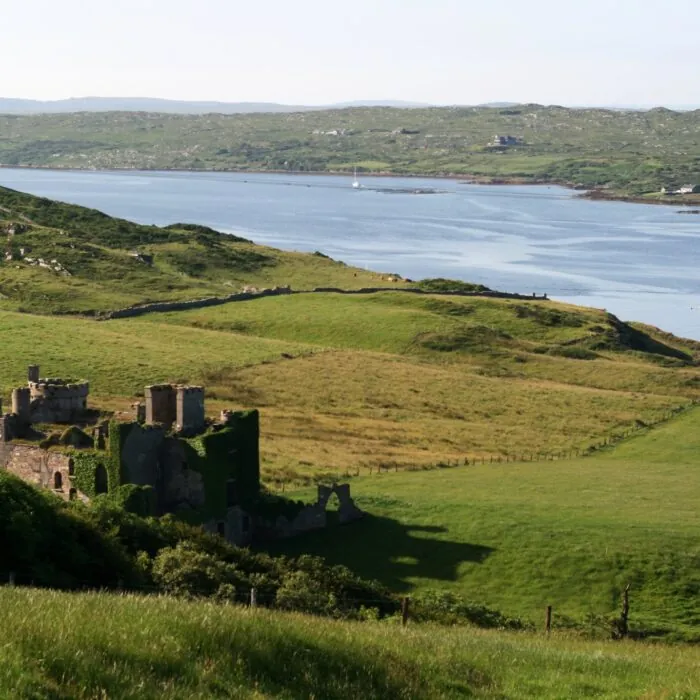 Das Clifden Castle - nora.warschewski - cc