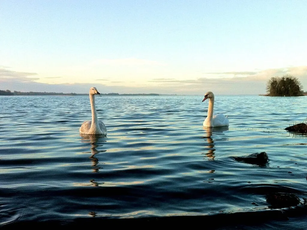 lough ennell 1