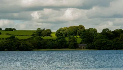 Der Lough Lene - Seba Sofariu - cc