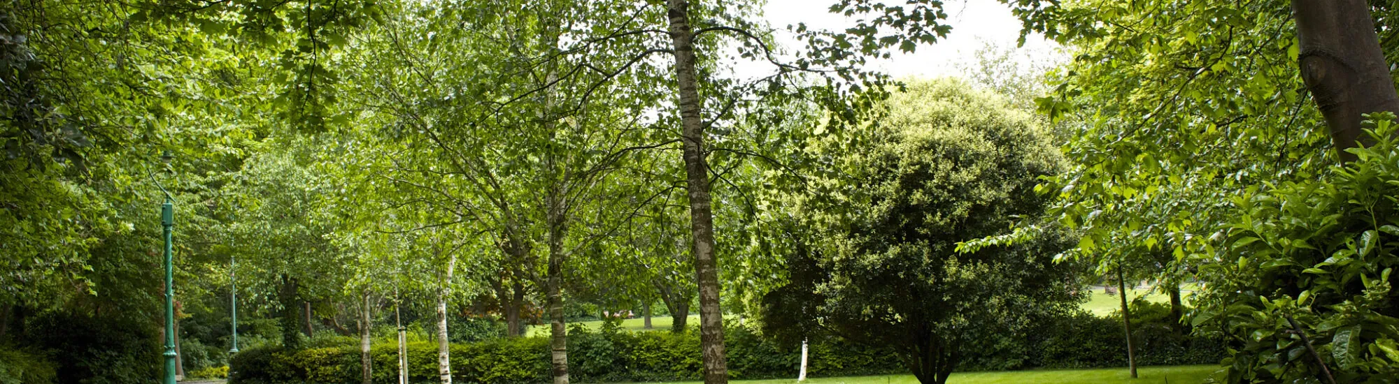 Merrion Square