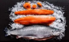 Irischer Lachs - © Maksim Shebeko