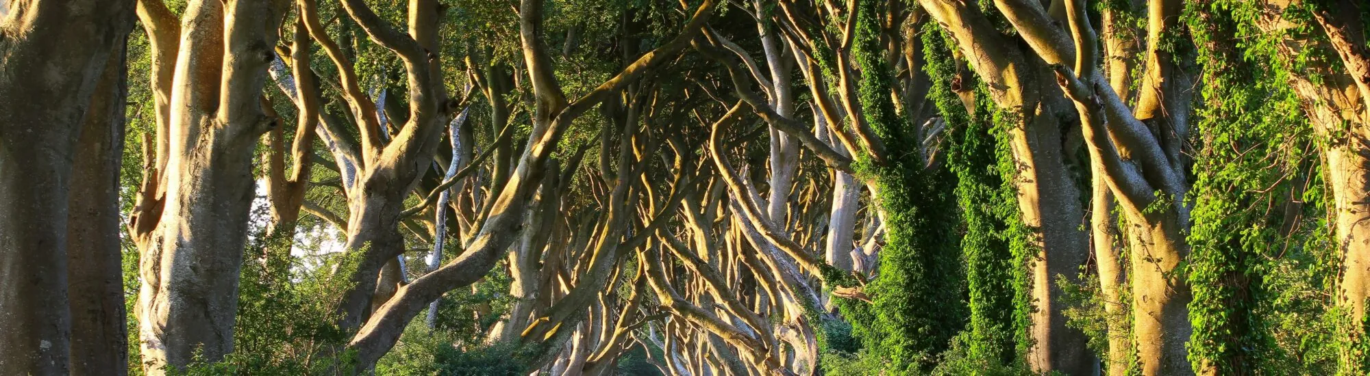 Game of Thrones in Irland