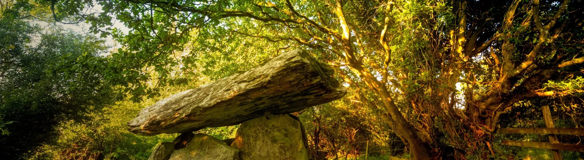 Le dolmen de Gaulstown - © Yggdrasill