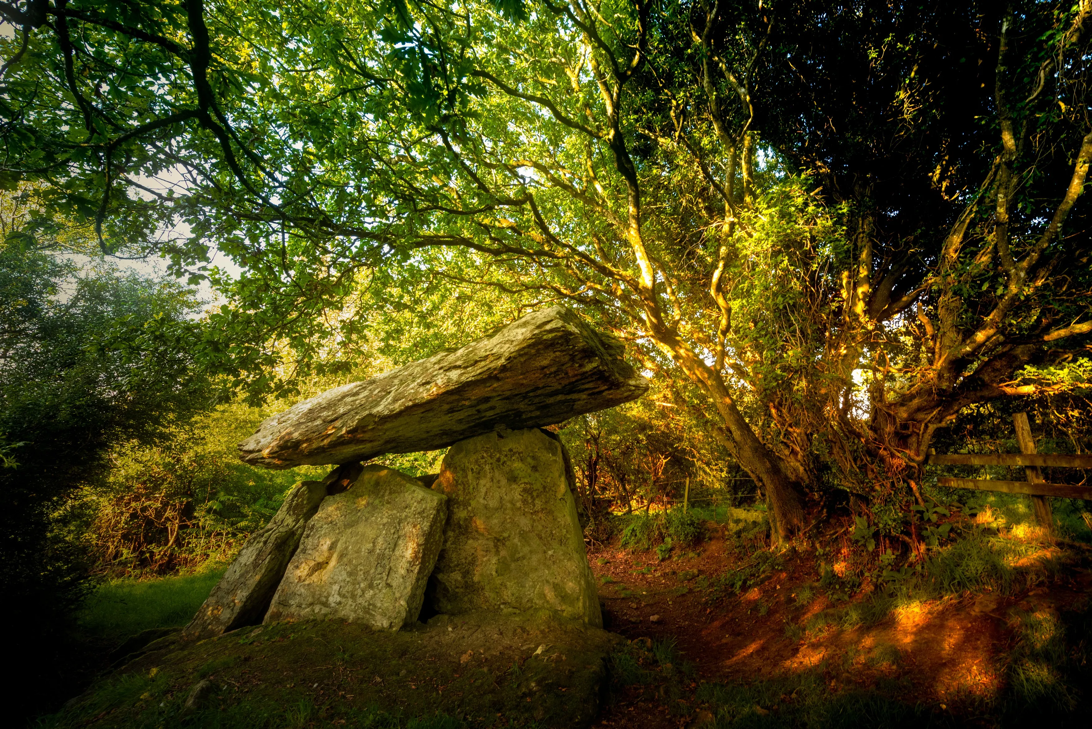 Der Dolmen von Gaulstown