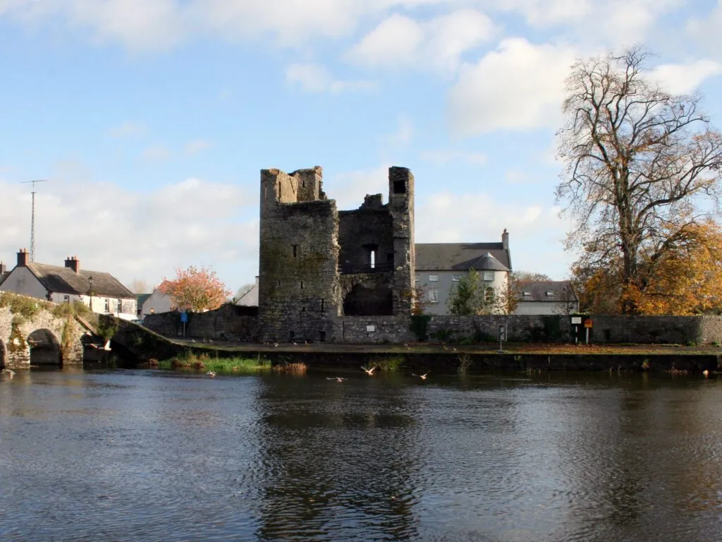 Leighlinbridge Castle - Öffentlicher Bereich