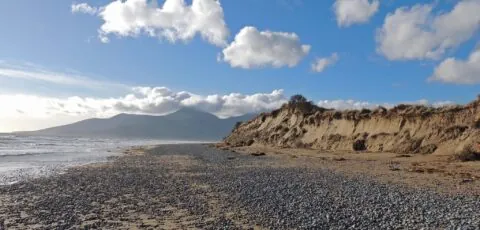 murlough national nature reserve
