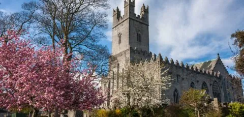 st marys cathedral
