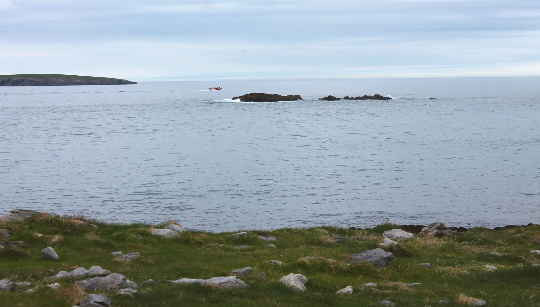Castlegregory Summer Festival