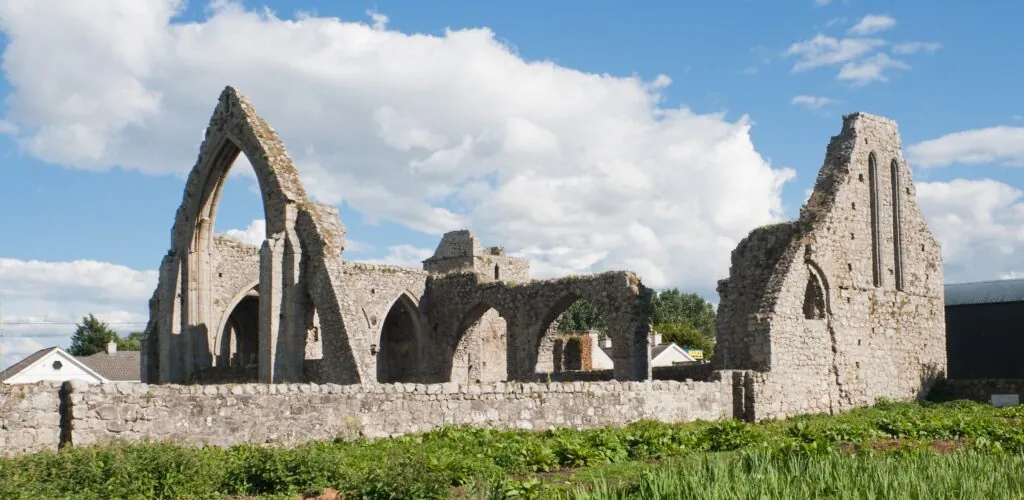 castledermot abbey