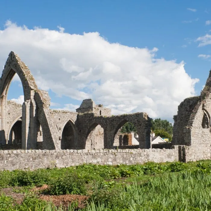Die Castledermot Abbey - Andreas F. Borchert - cc