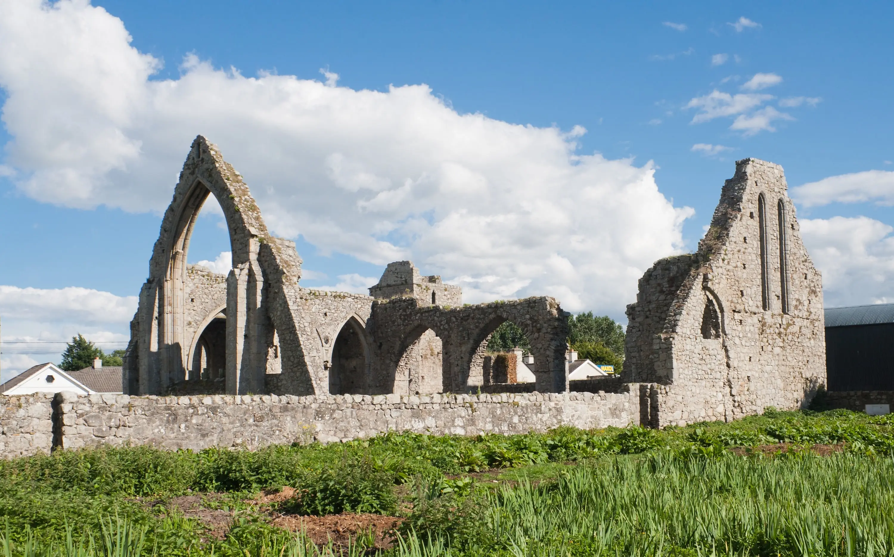 Die Castledermot Abbey