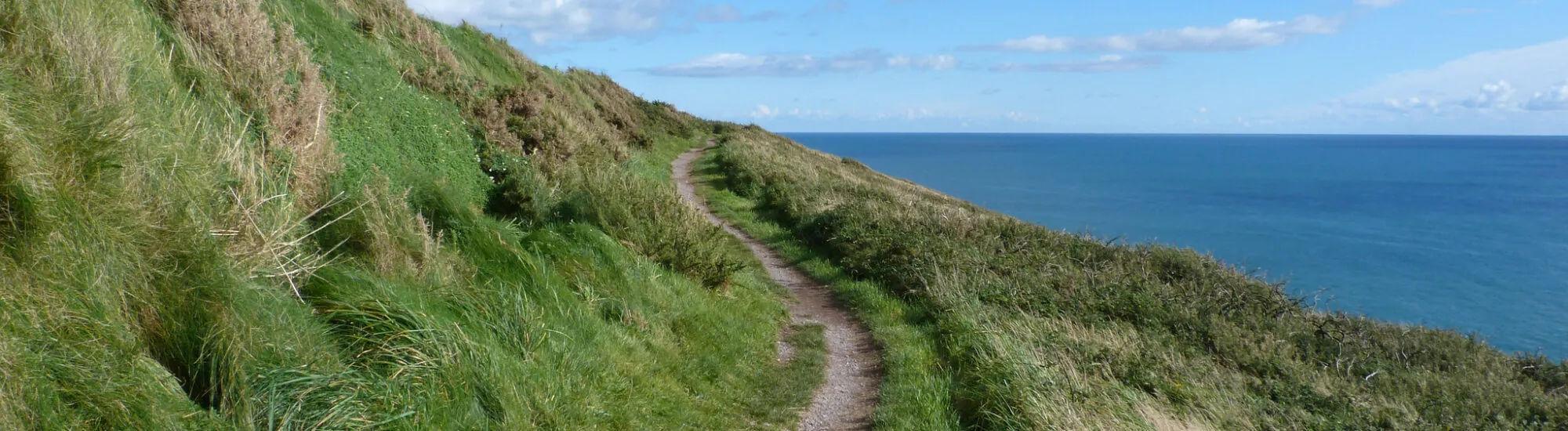 Der Ballycotton Klippenweg