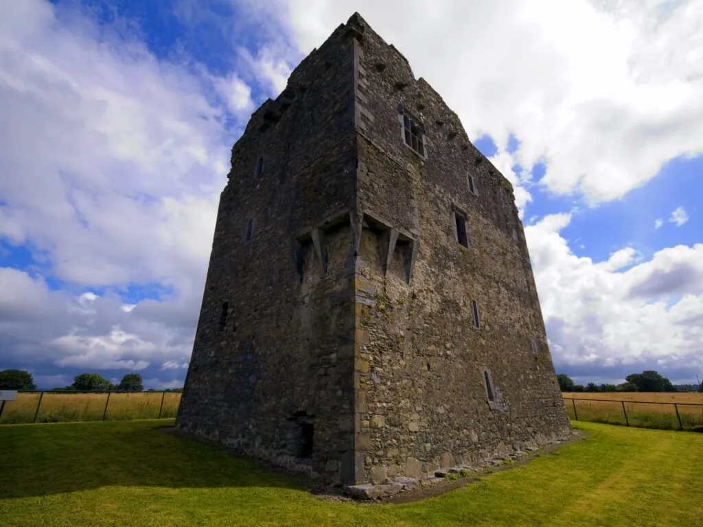 Le Ballymalis Castle - Shane Laake