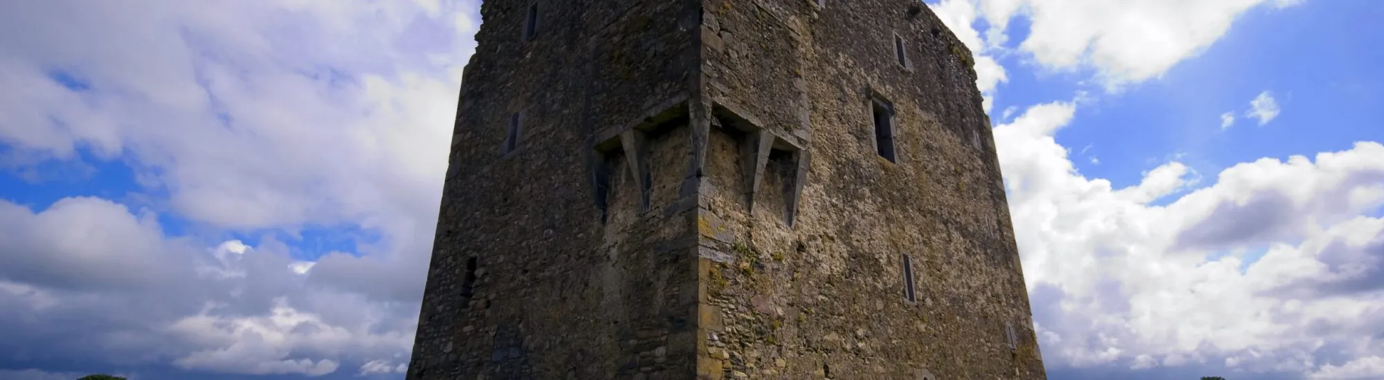 Ballymalis Castle