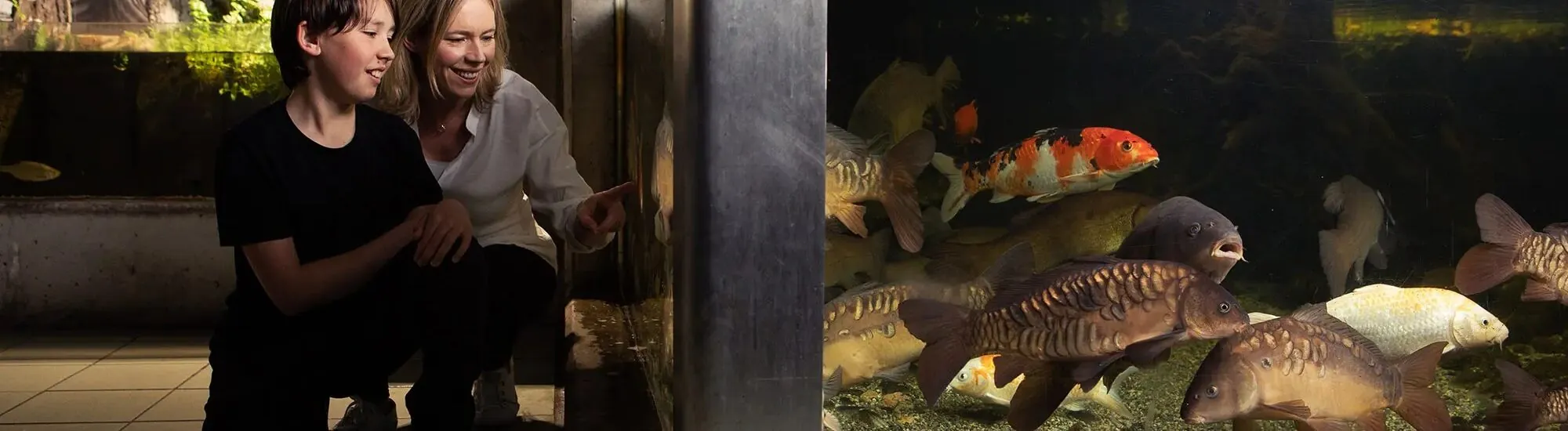 Das Galway Atlantaquaria