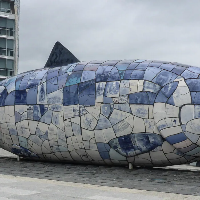 big fish
