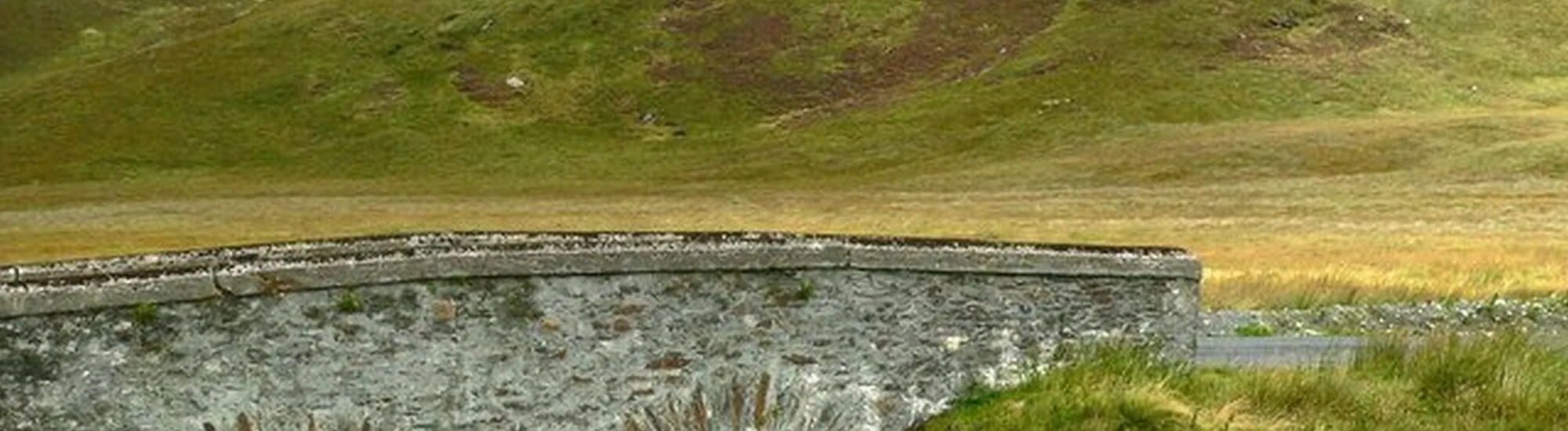 Die Brücke der Tränen