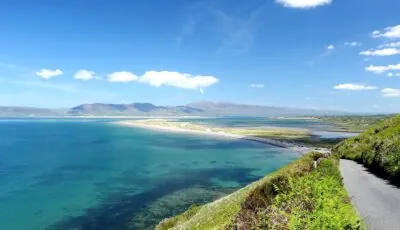 dingle bay