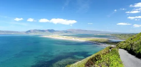dingle bay