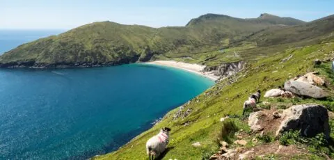 keem beach