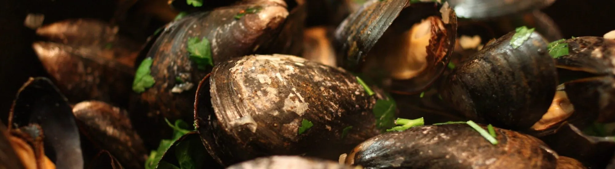 Muscheln mit Guinness