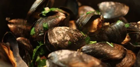 Muscheln mit Guinness