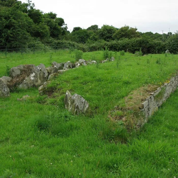 Audleystown Cour Cairn - Ray Hunt
