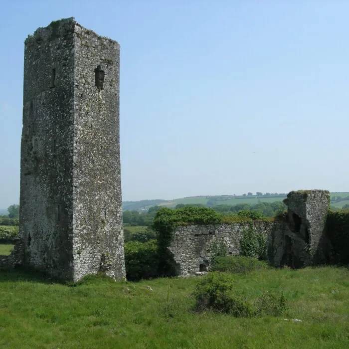 Die Burg Ballincollig 7 Le Ballincollig Castle - Brendandiamond - cc