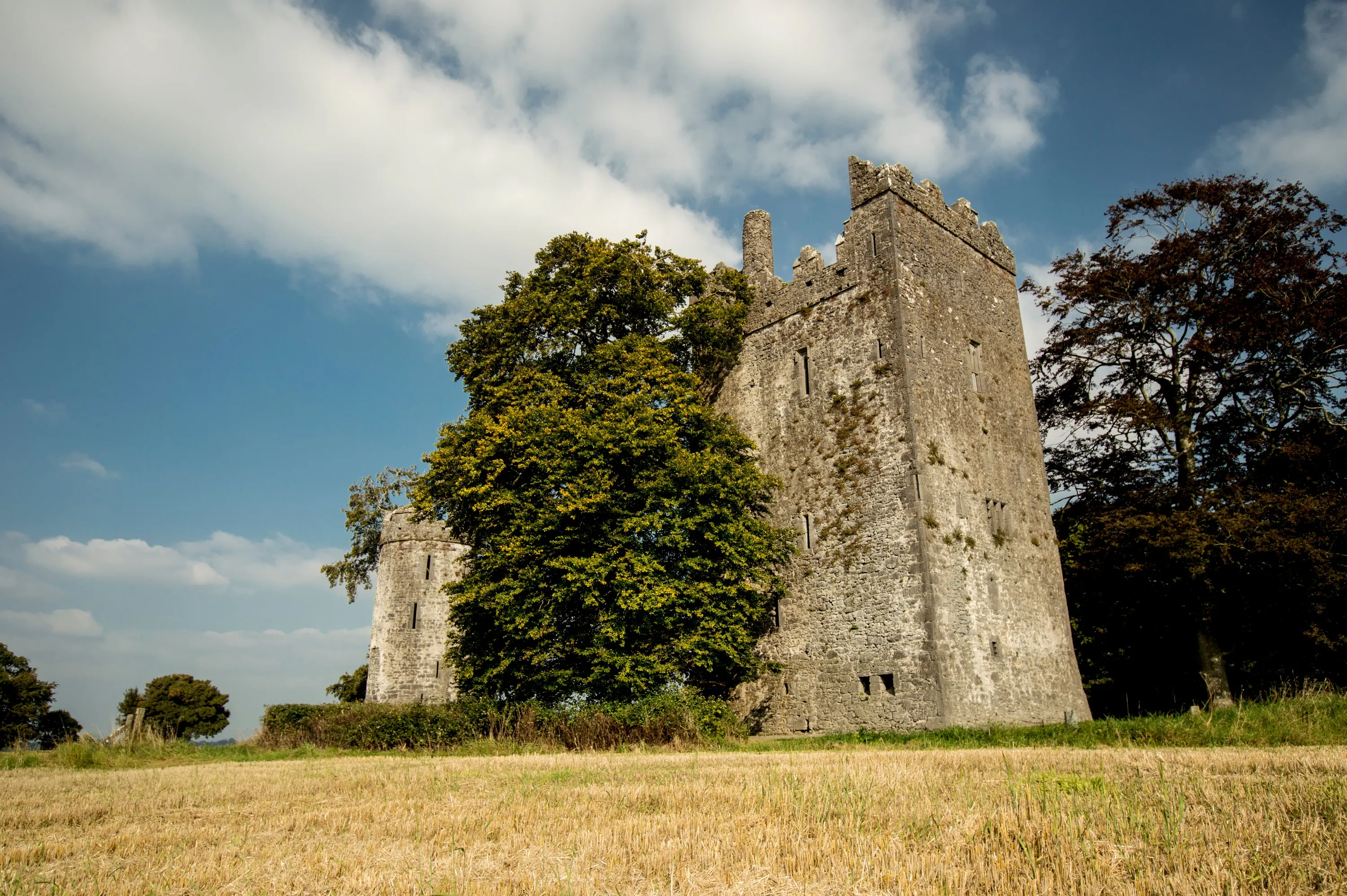 Das Burnchurch Castle